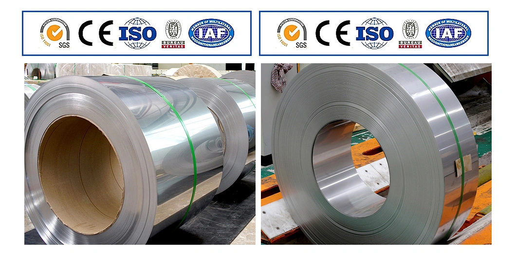 Stainless Steel /Galvanized Steel Strip/Coil /Color Painted/Zinc Coated/Hot Rolled/Cold Rolled/ Regular Spangle/Hot Dipping Steel Coil SGCC Dx51d Dx52D Dx53D